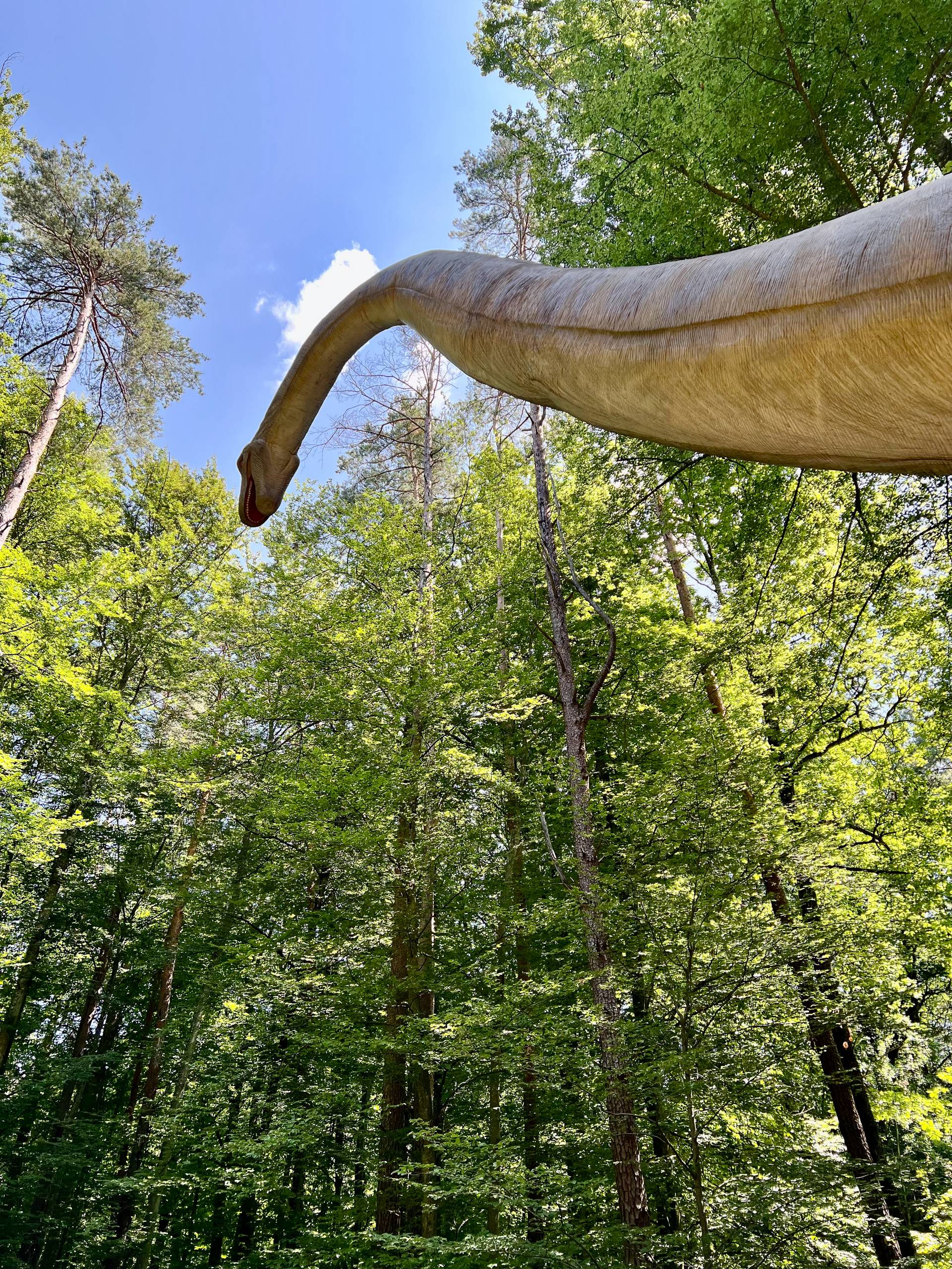 2025 Bad Gleichenberg   140